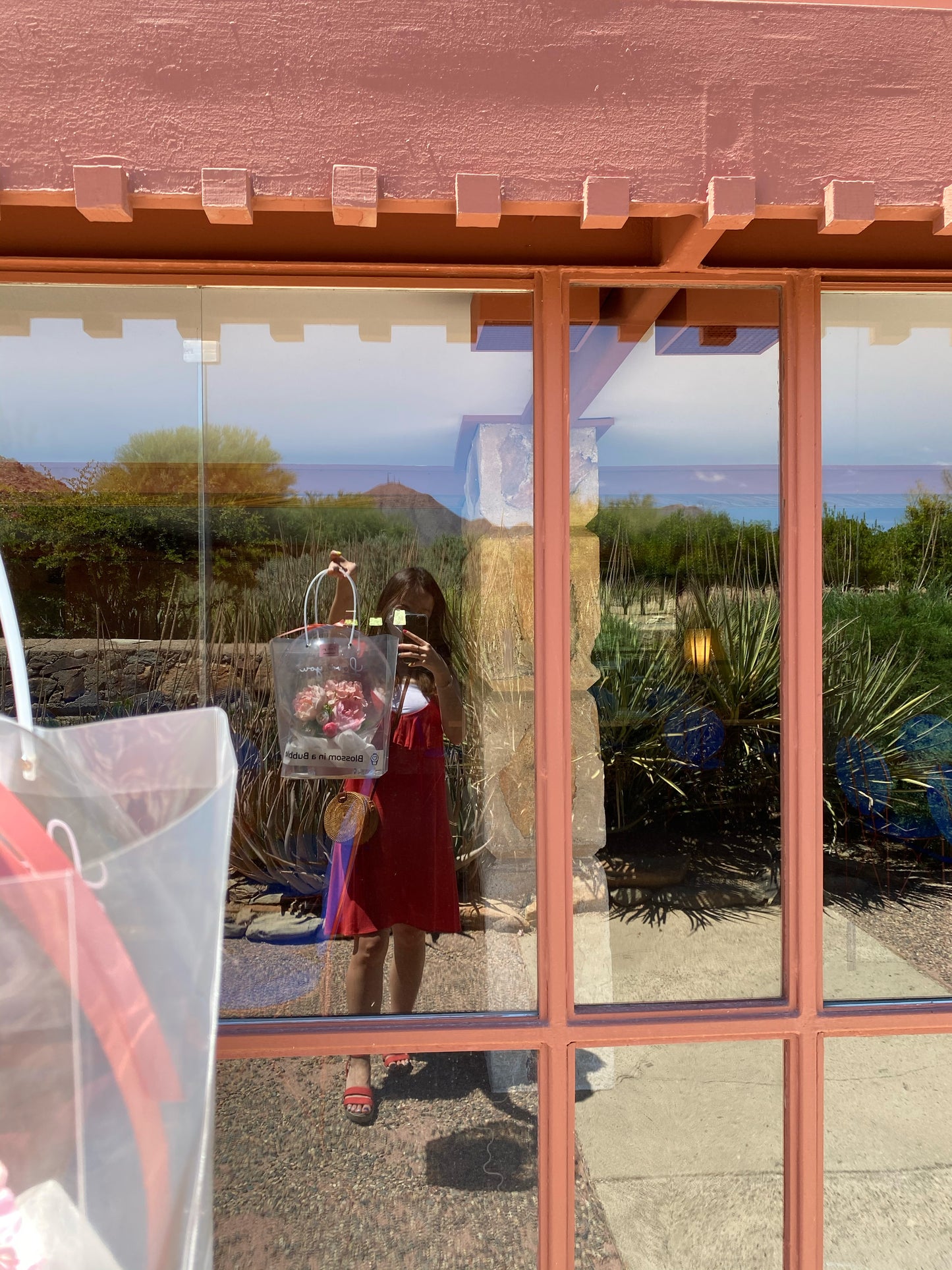 Clear bag, flower bag